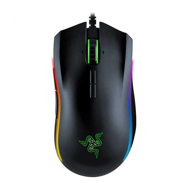Souris